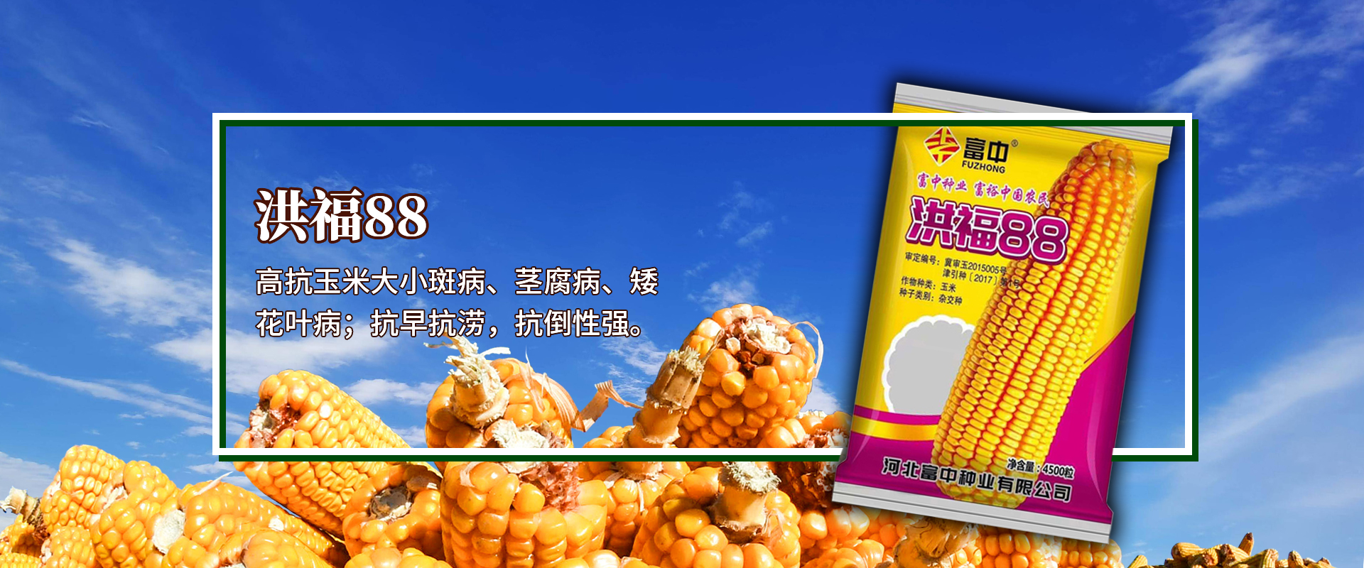 富中種業
